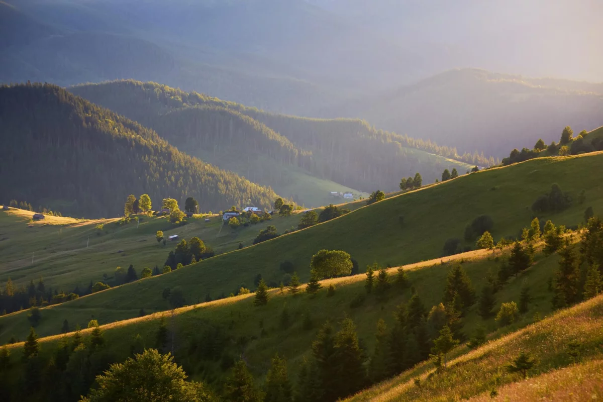 Sekretne knajpki Katowic: ukryte miejsca polecane przez lokalsów